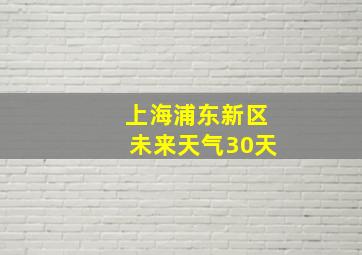 上海浦东新区未来天气30天