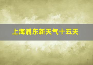 上海浦东新天气十五天