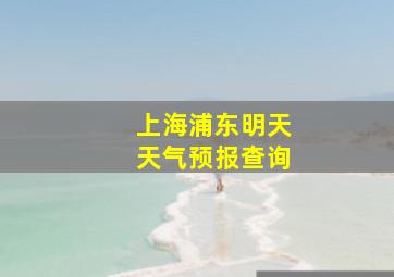 上海浦东明天天气预报查询