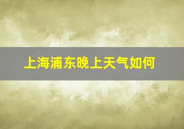 上海浦东晚上天气如何