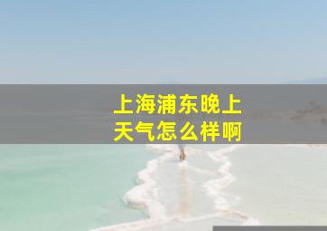 上海浦东晚上天气怎么样啊