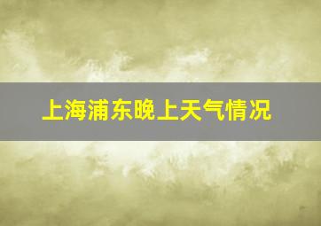 上海浦东晚上天气情况