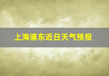 上海浦东近日天气预报