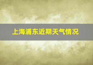 上海浦东近期天气情况