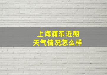 上海浦东近期天气情况怎么样