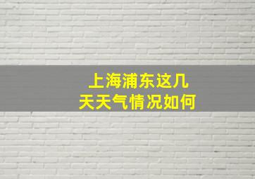 上海浦东这几天天气情况如何