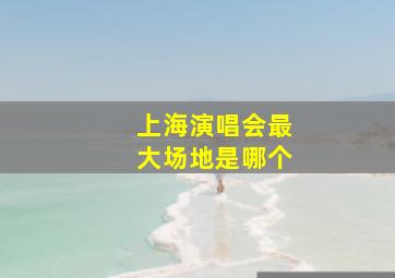 上海演唱会最大场地是哪个