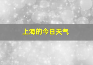 上海的今日天气