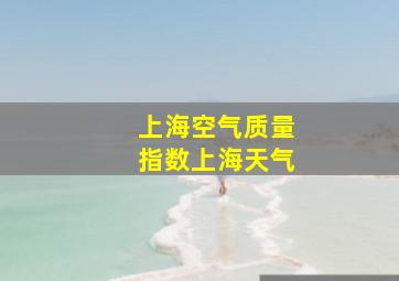 上海空气质量指数上海天气