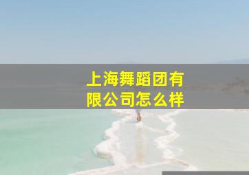 上海舞蹈团有限公司怎么样