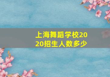 上海舞蹈学校2020招生人数多少