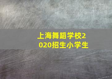 上海舞蹈学校2020招生小学生