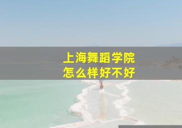 上海舞蹈学院怎么样好不好