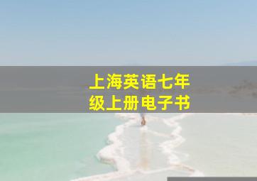 上海英语七年级上册电子书