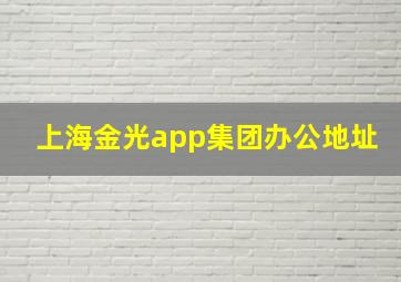 上海金光app集团办公地址