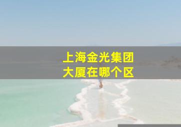 上海金光集团大厦在哪个区