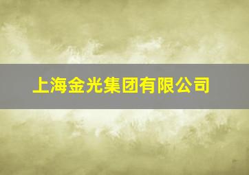 上海金光集团有限公司