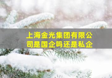 上海金光集团有限公司是国企吗还是私企