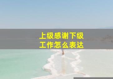 上级感谢下级工作怎么表达