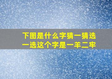 下图是什么字猜一猜选一选这个字是一羊二牢