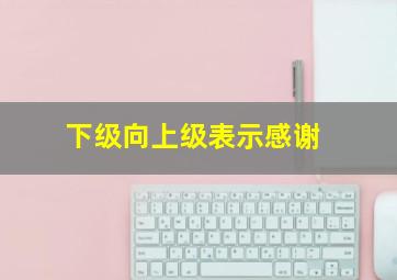 下级向上级表示感谢