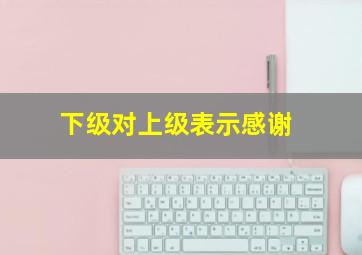 下级对上级表示感谢