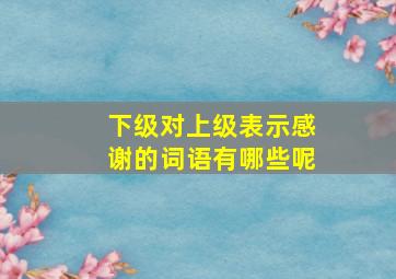 下级对上级表示感谢的词语有哪些呢