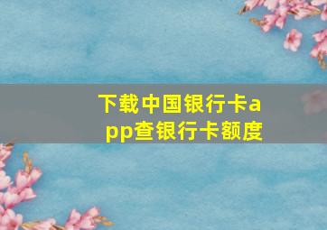 下载中国银行卡app查银行卡额度