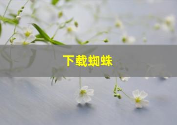 下载蜘蛛