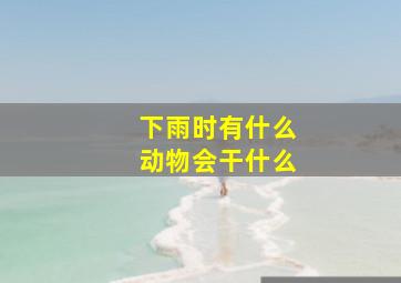 下雨时有什么动物会干什么