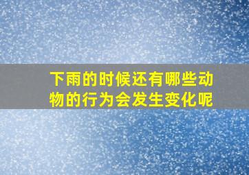 下雨的时候还有哪些动物的行为会发生变化呢