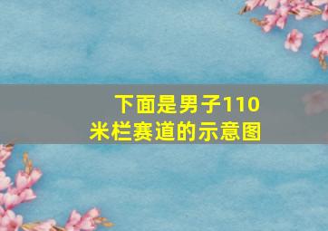 下面是男子110米栏赛道的示意图