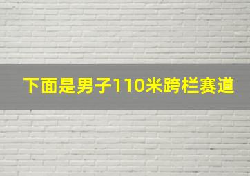 下面是男子110米跨栏赛道