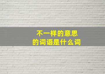 不一样的意思的词语是什么词