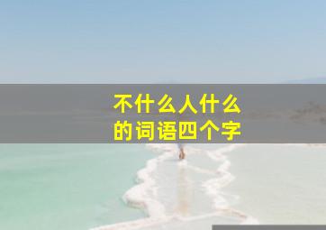 不什么人什么的词语四个字