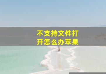 不支持文件打开怎么办苹果