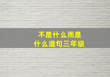 不是什么而是什么造句三年级