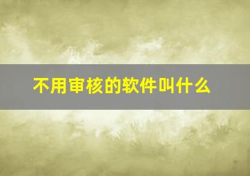 不用审核的软件叫什么