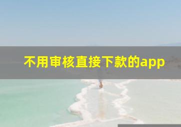 不用审核直接下款的app