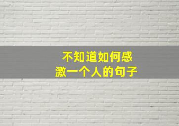 不知道如何感激一个人的句子