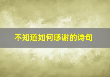 不知道如何感谢的诗句