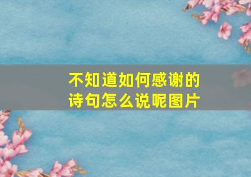 不知道如何感谢的诗句怎么说呢图片