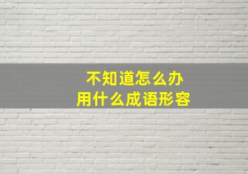 不知道怎么办用什么成语形容