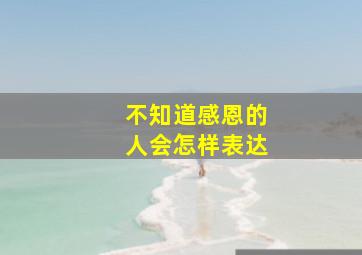 不知道感恩的人会怎样表达