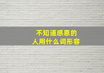 不知道感恩的人用什么词形容