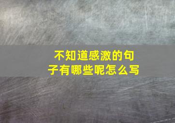 不知道感激的句子有哪些呢怎么写