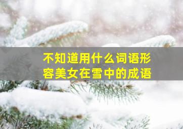 不知道用什么词语形容美女在雪中的成语