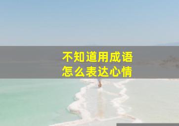 不知道用成语怎么表达心情