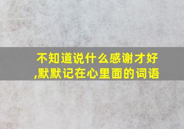 不知道说什么感谢才好,默默记在心里面的词语