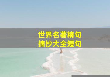 世界名著精句摘抄大全短句